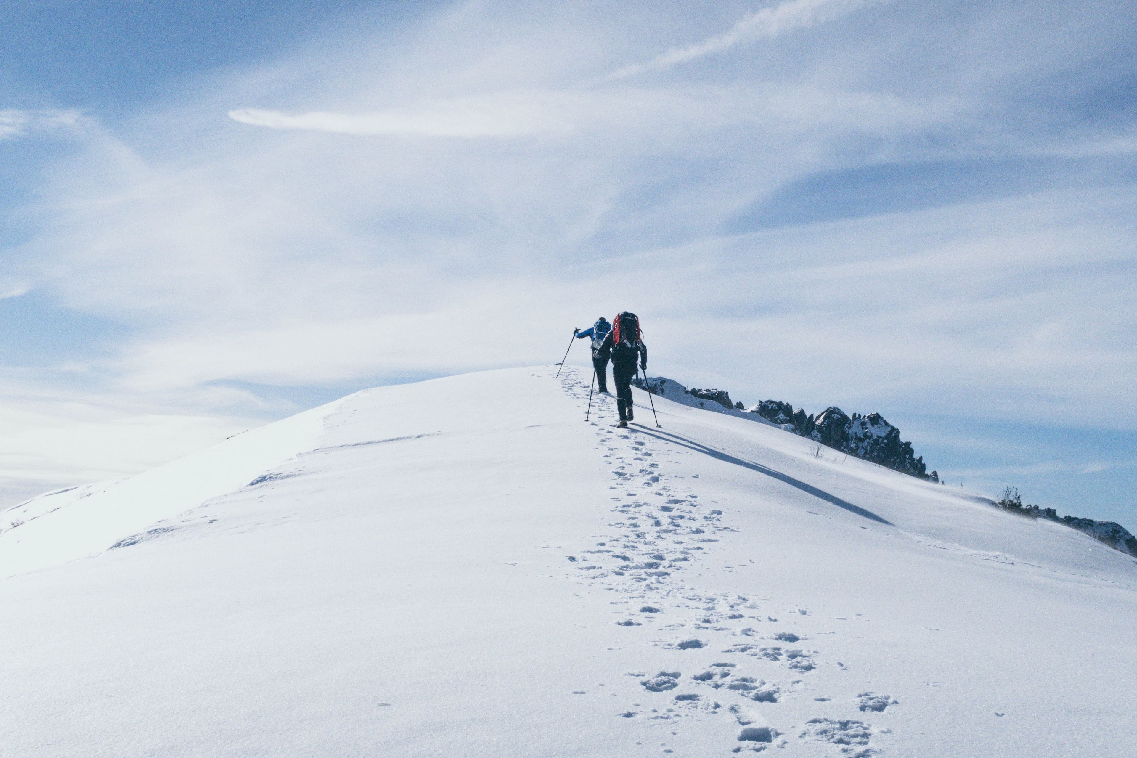 Insights for Building a Fulfilling Career